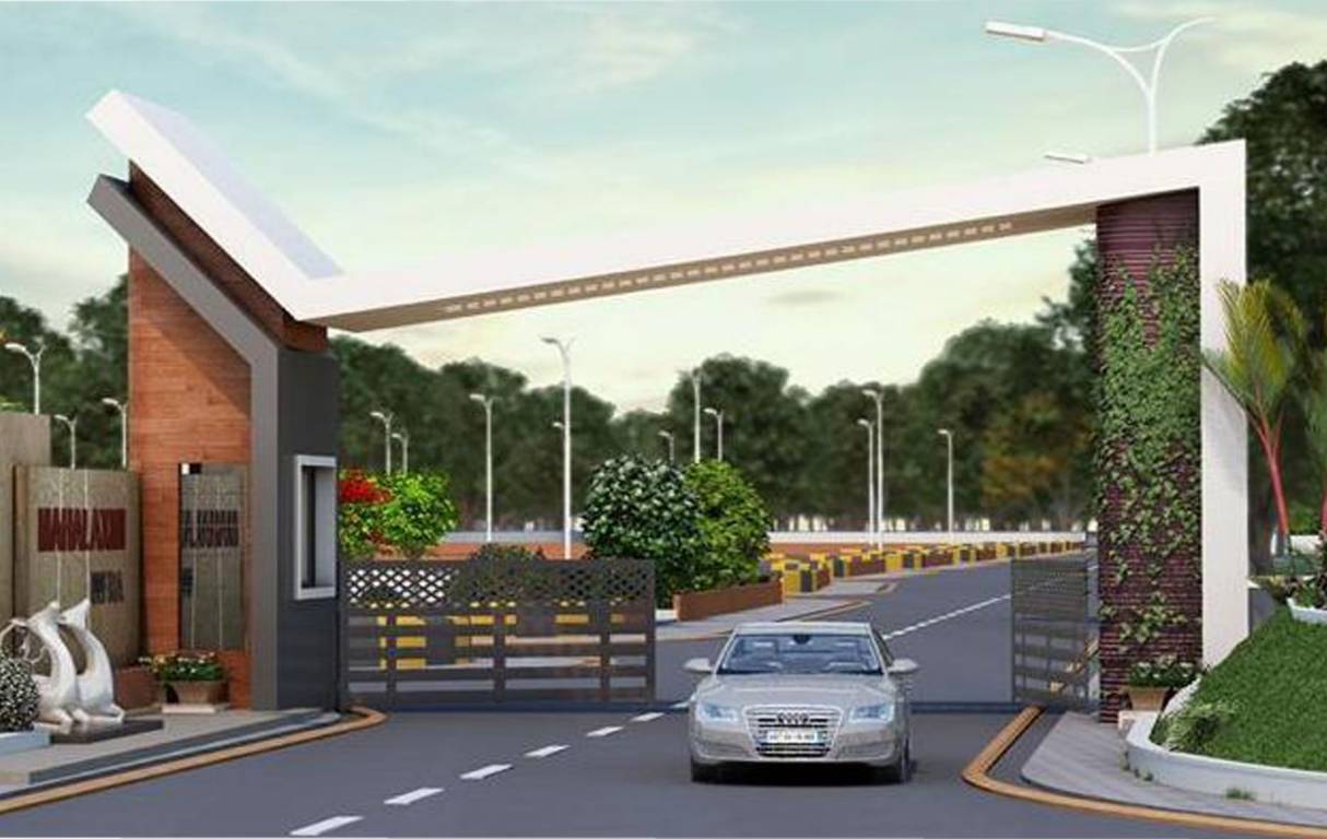  silver prime Elevation