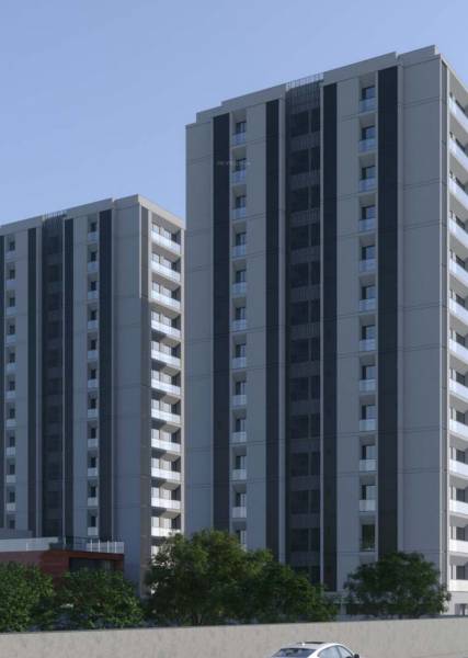 Elevation dreamz Elevation