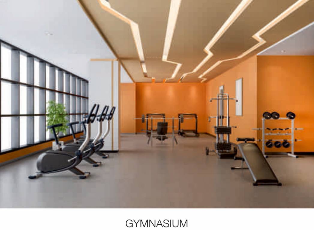 govardhan hills Gymnasium