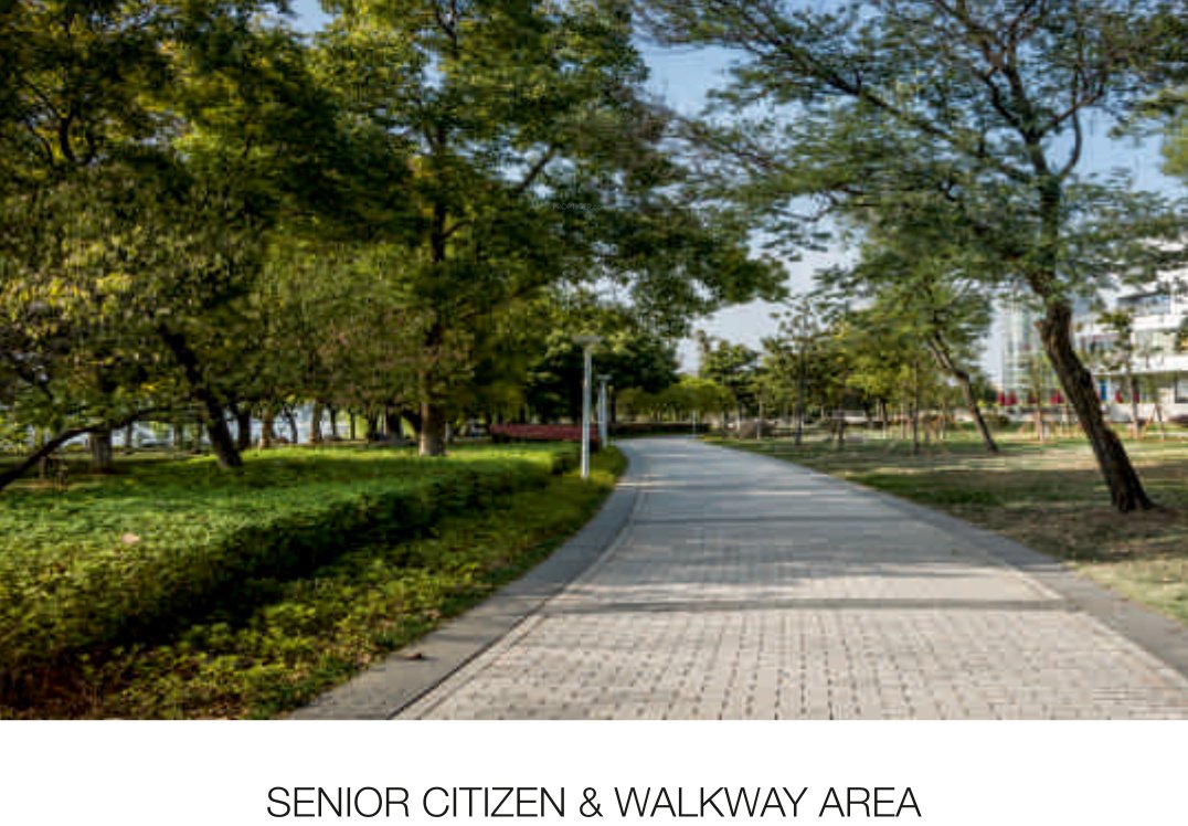 govardhan hills Senior Citizen Sitout