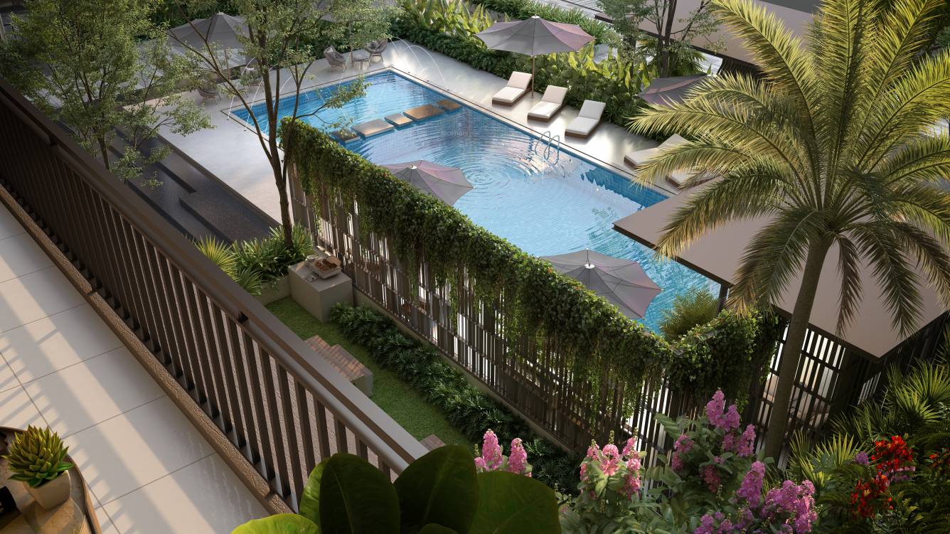 highline Swimming Pool