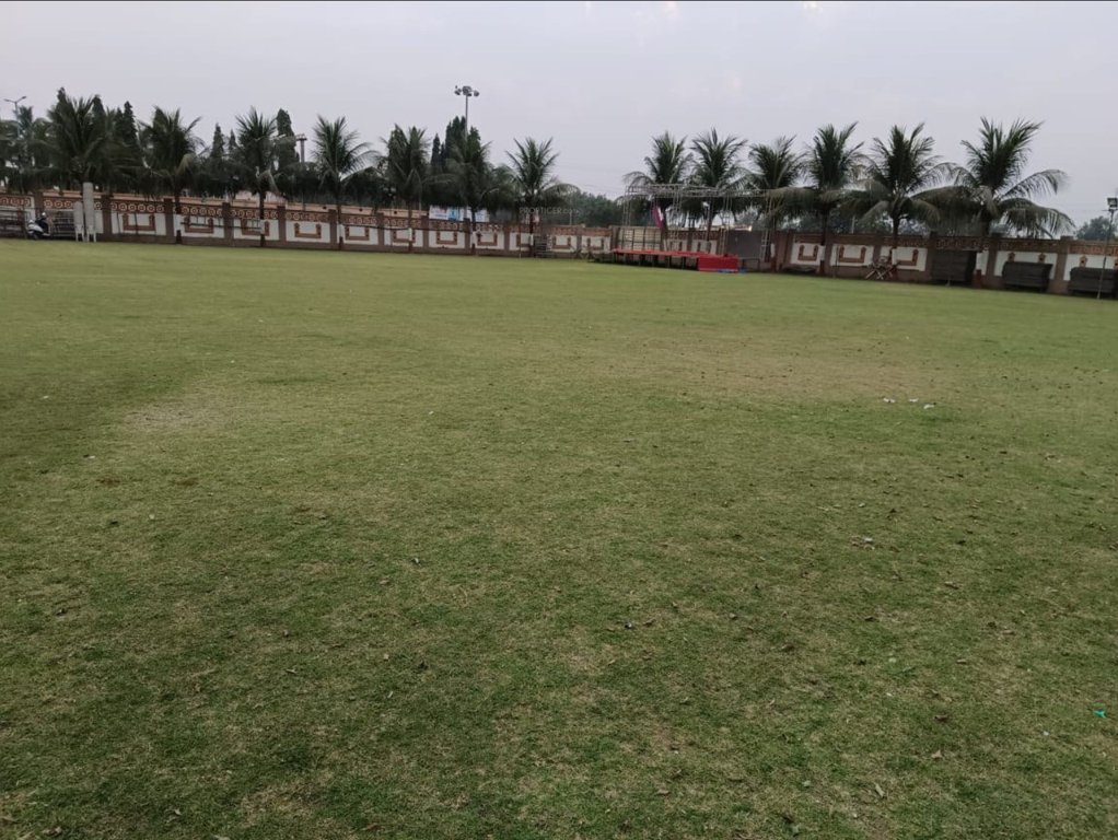  golden plotting Plot