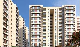  silver sky Elevation