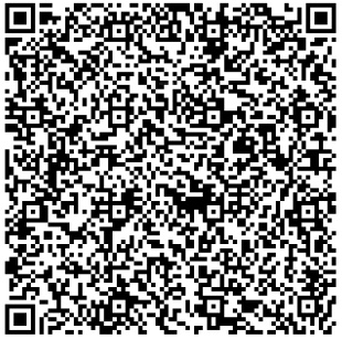 QR Image