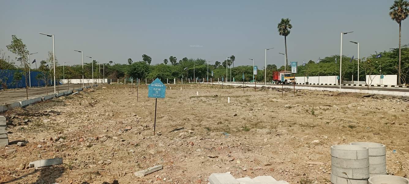  synergy phase 1 Plot