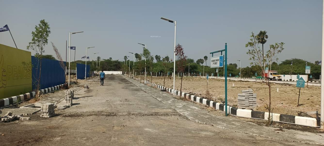  synergy phase iii Plot