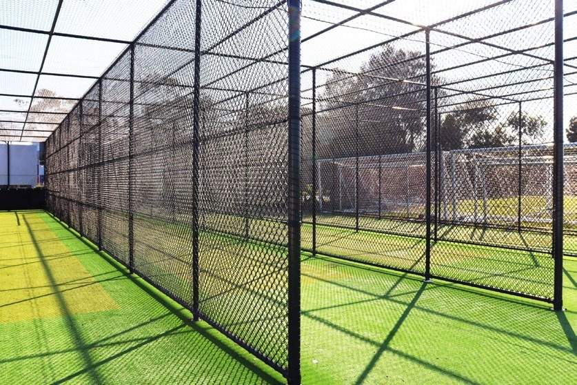  samsara ivana Cricket Pitch