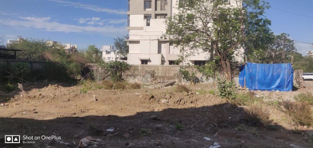  milestone yogi Construction Status Feb 24