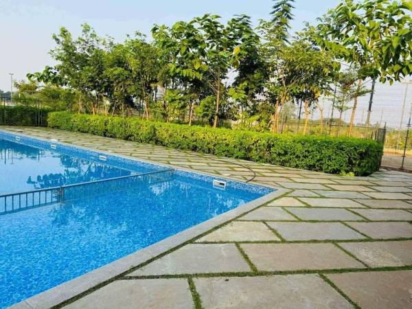 Swimming Pool shiva-farm Swimming Pool