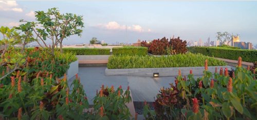  panoreeva-greens Terrace Garden