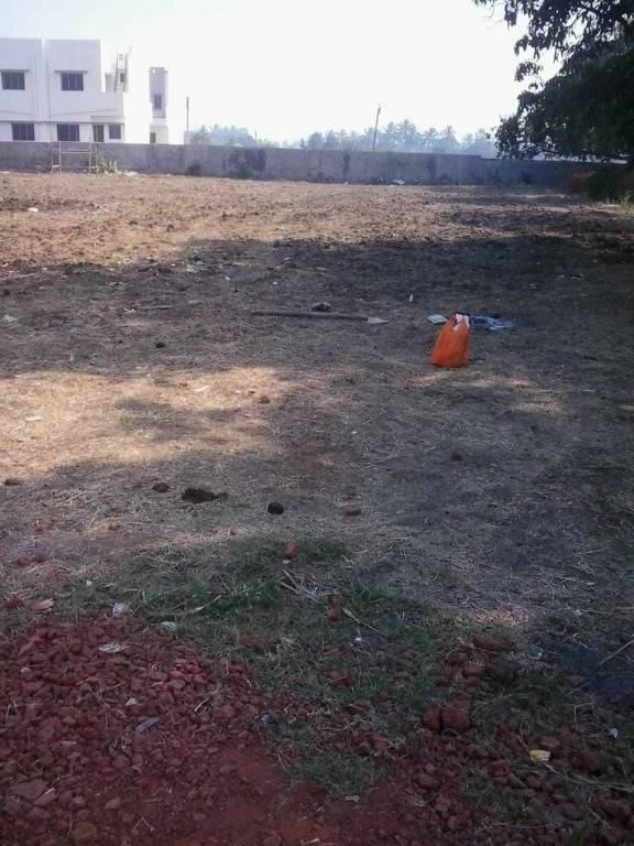 saffron heights Plot