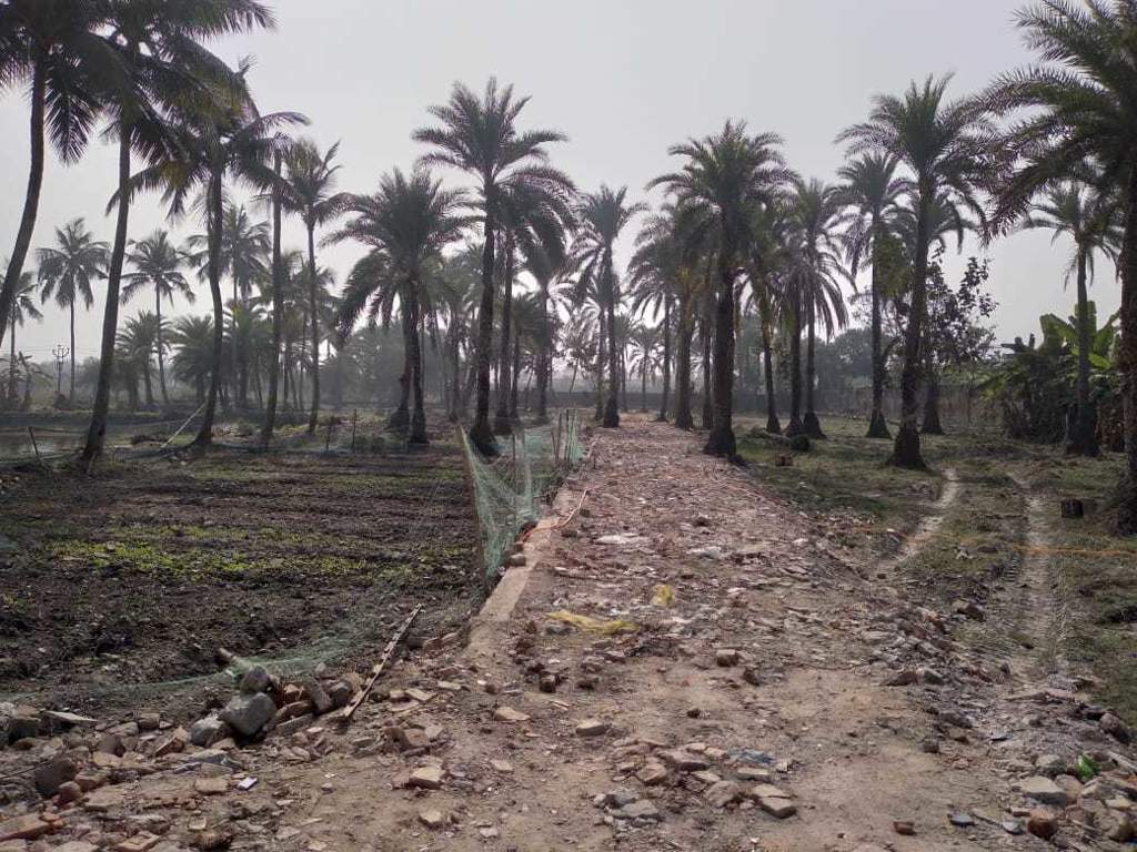  the address 005 Plot