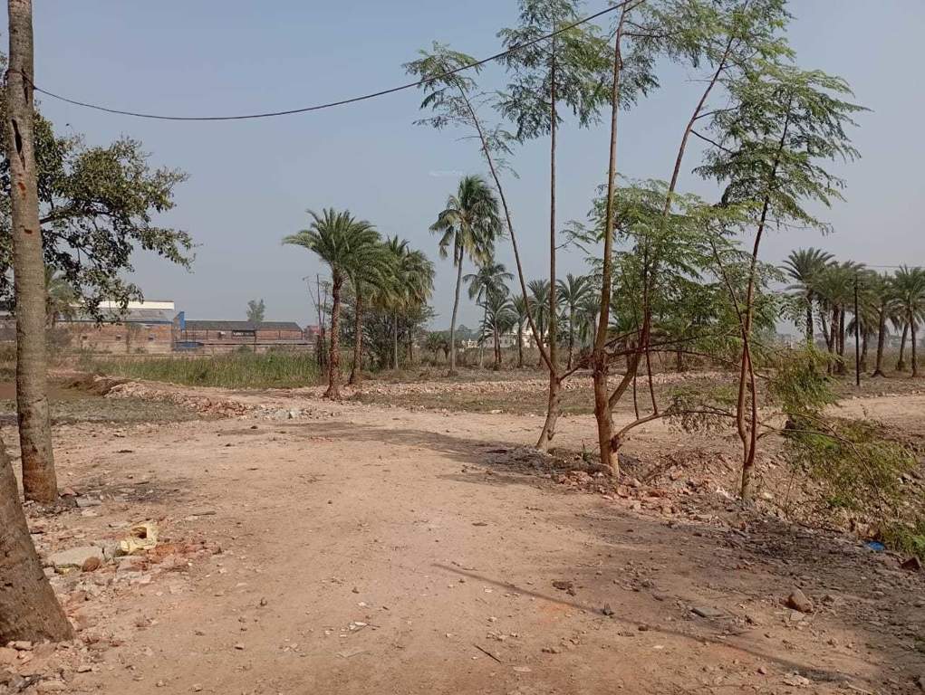  the address 005 Plot