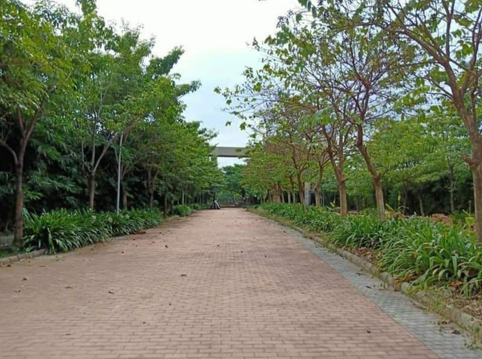  wood phase i Landscape Garden and Tree Planting