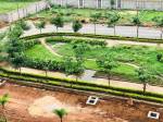  wood-phase-i Landscape Garden and Tree Planting
