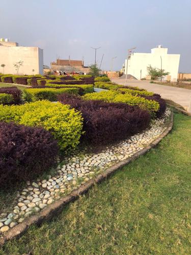 Landscape Garden and Tree Planting wood-phase-i Landscape Garden and Tree Planting