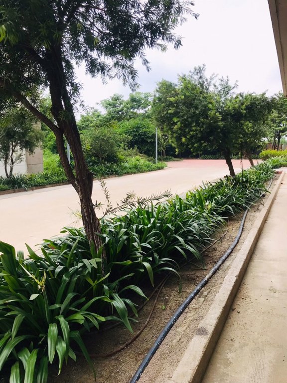  wood phase i Paved Compound