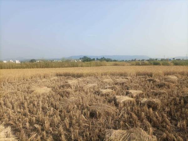 Elevation pirkon-third-maha-mumbai Elevation