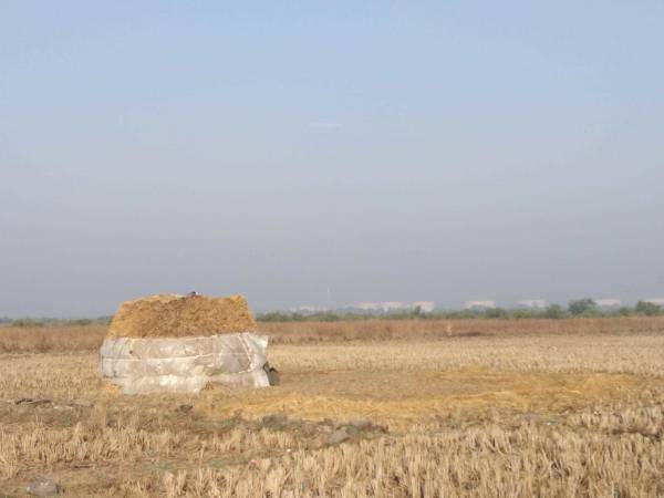 Elevation pirkon-third-maha-mumbai Elevation