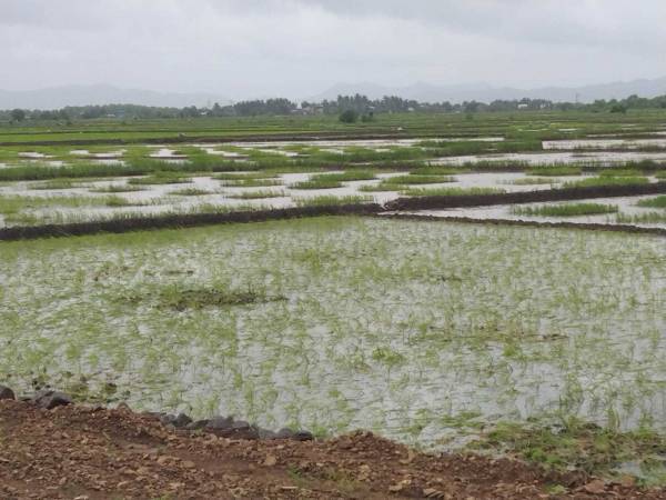  jui-third-maha-mumbai Elevation