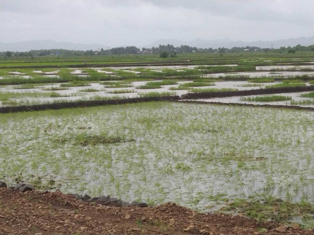 jui third maha mumbai Elevation