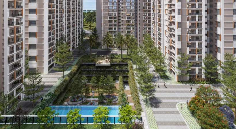  spring heights Others