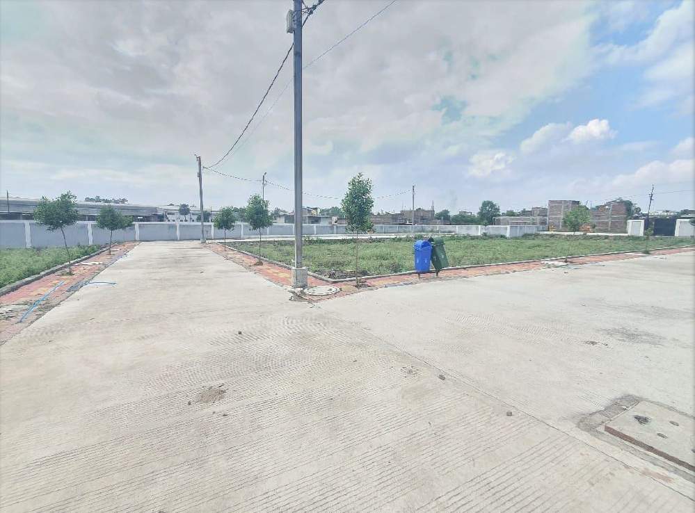  avenue Plot