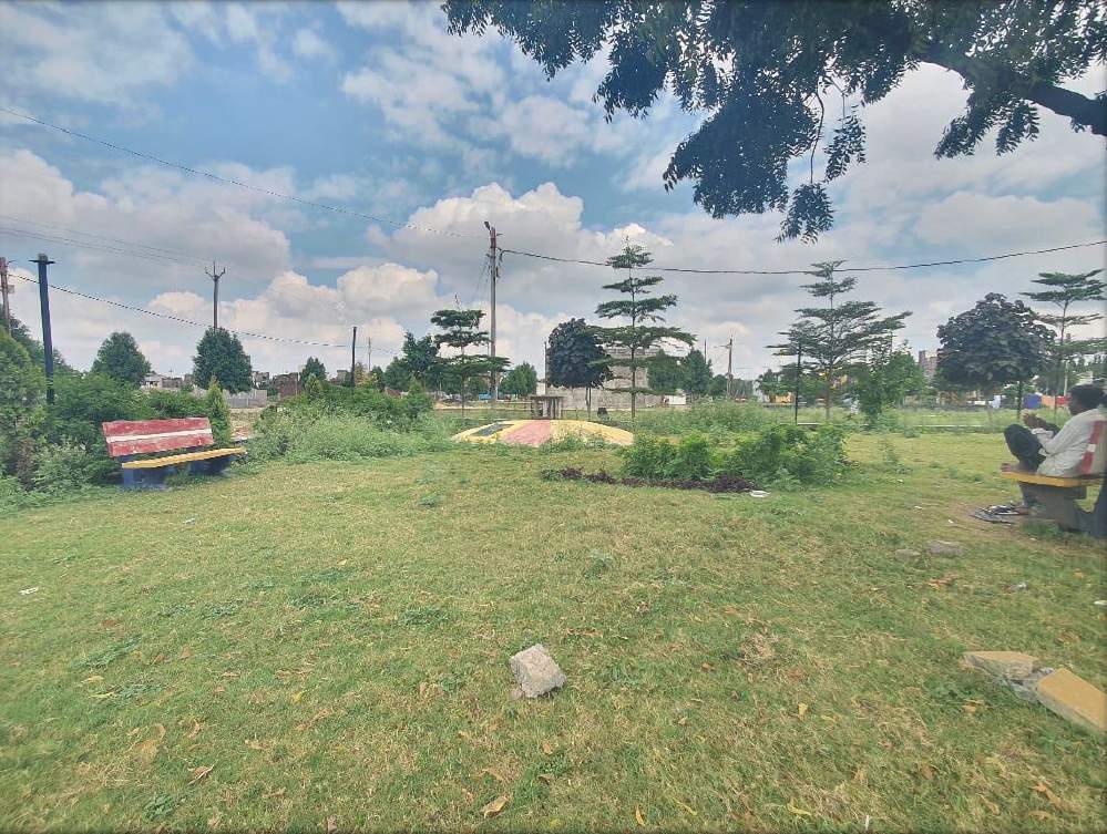 avenue Plot