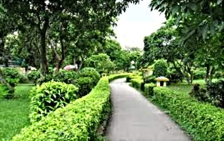 krishna nagar Landscape Garden and Tree Planting