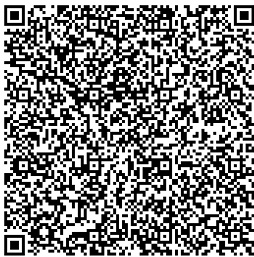 QR Image