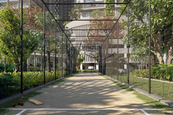  moon-glade Cricket Pitch