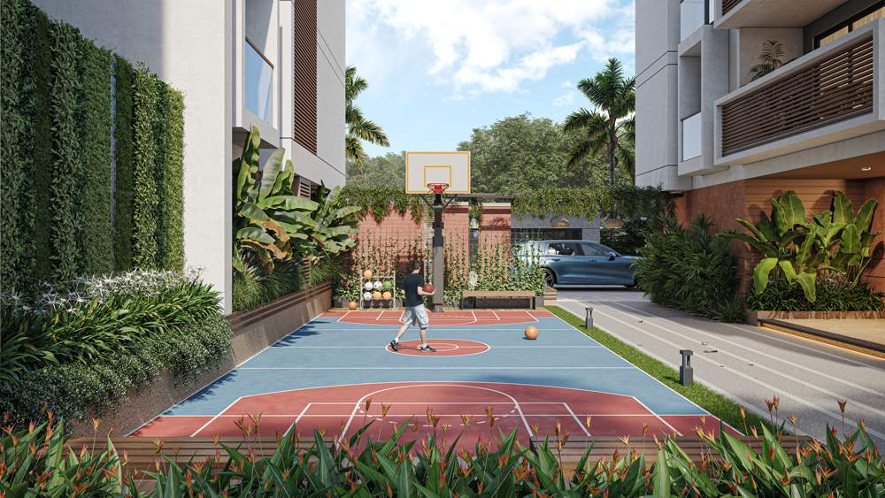  revanta Basketball Court