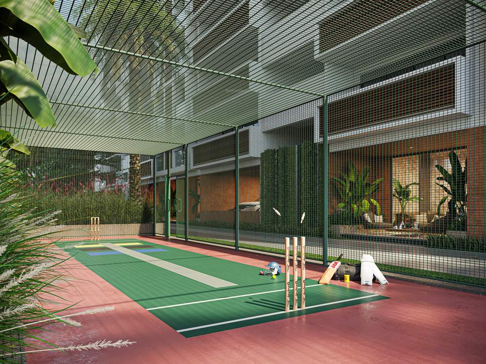  revanta Cricket Pitch