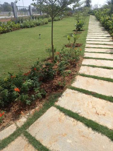  emerald-grove Landscape Garden and Tree Planting