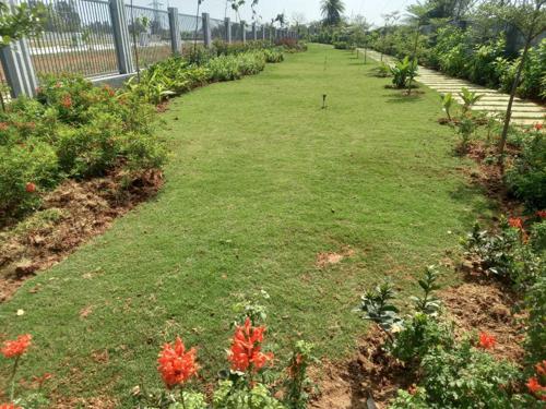  emerald-grove Landscape Garden and Tree Planting