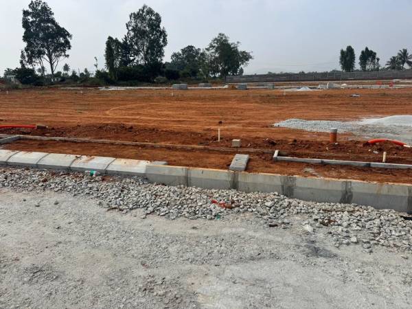  mithra-signature Elevation