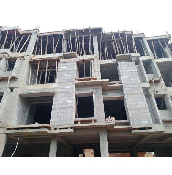  paradise peony Block 1 Construction Status June 25