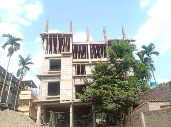  paradise peony Construction Status June 25