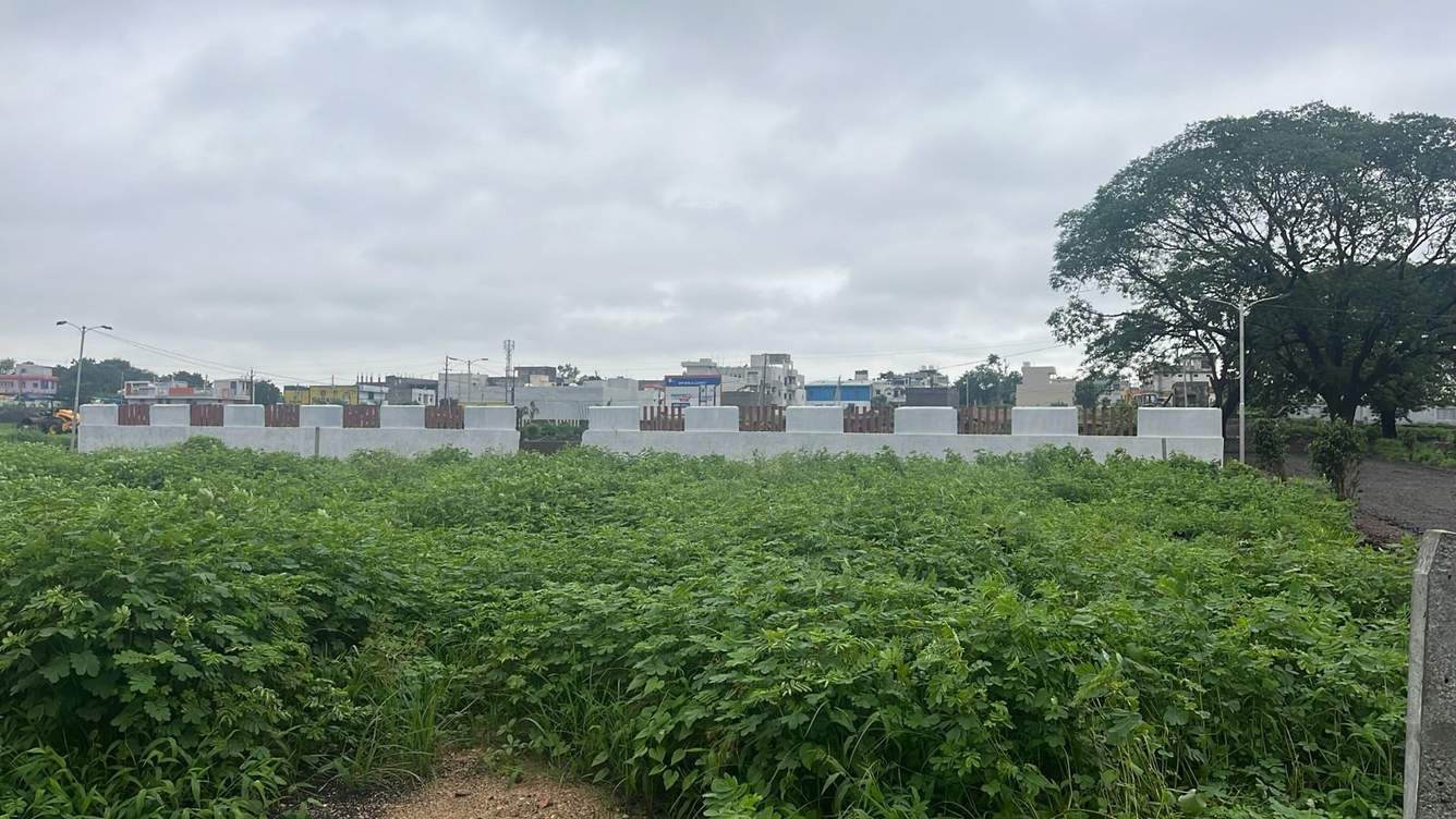  abeer pride Plot