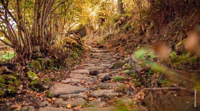 Others sky-arc Others