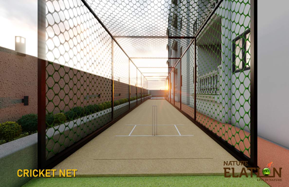  nature elation Cricket Pitch