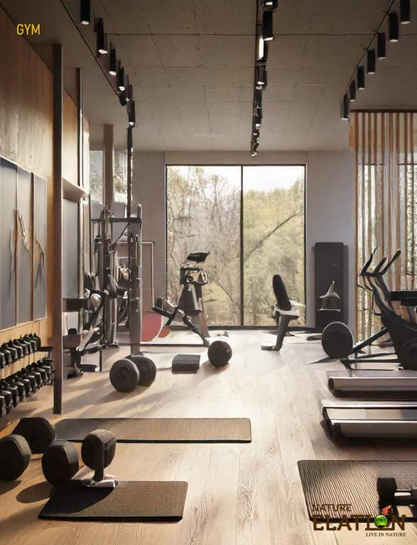  nature elation Gymnasium