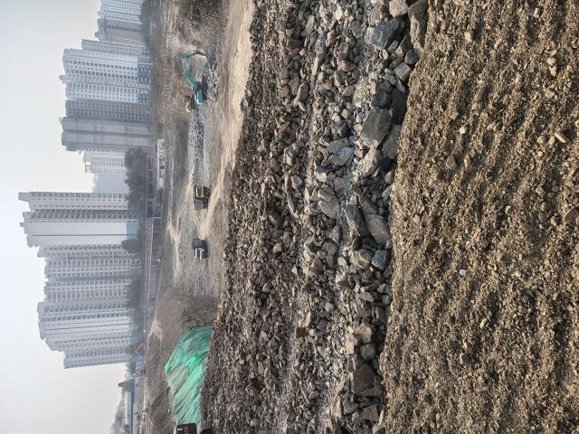 Geras Joy On The Treetops