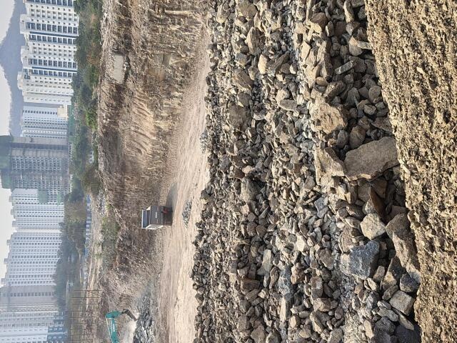 Geras Joy On The Treetops