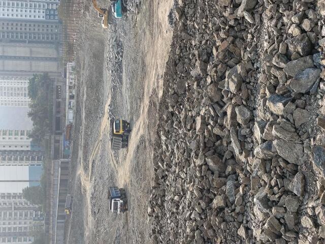 Geras Joy On The Treetops