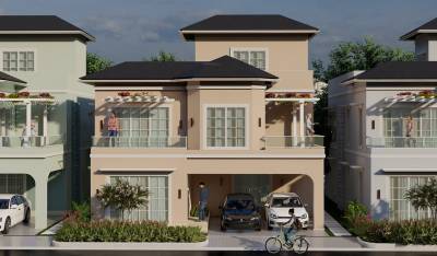  palm-paradise Elevation