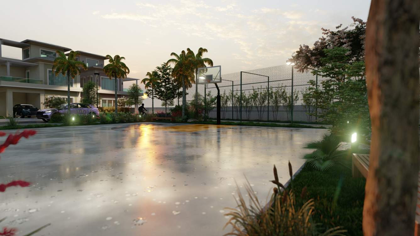  palm paradise Basketball Court
