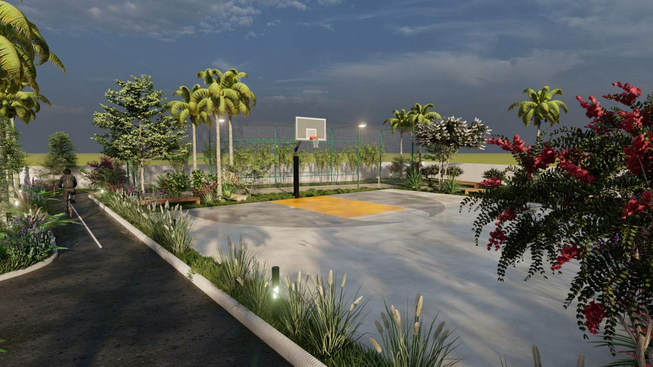  palm paradise Basketball Court