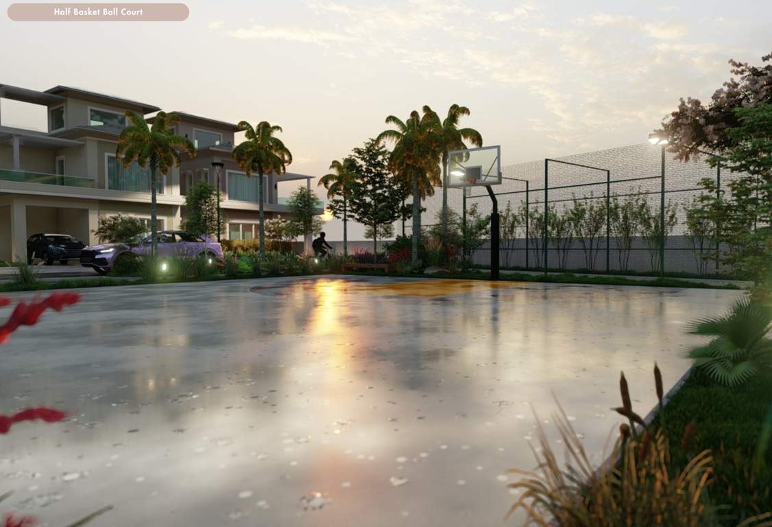  palm paradise by westbury Basketball Court