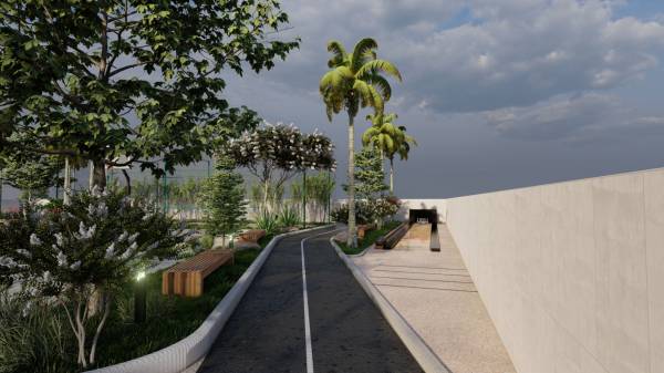  palm-paradise Others